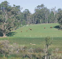 Scenic Drives - Bunbury Collie Donnybrook - E Caravan Parks