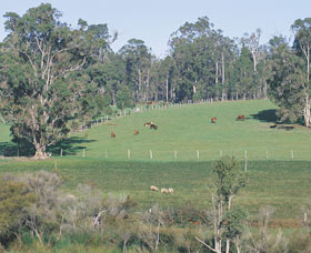 Scenic Drives - Bunbury Collie Donnybrook - E Caravan Parks 0