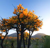 Cape Le Grand National Park - E Caravan Parks