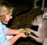 Discovery Bay's Walk on the Wild Side - E Caravan Parks