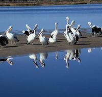 Peel Region Canoe Trails - E Caravan Parks