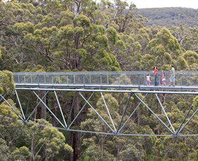 Walpole Wilderness Discovery Centre - E Caravan Parks 0