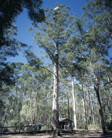 Jardee WA E Caravan Parks