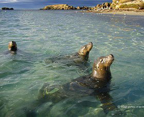 Shoalwater Islands Marine Park - E Caravan Parks 0