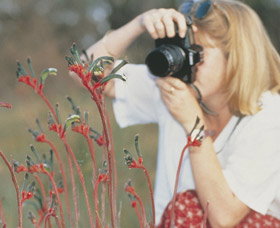 Gingin Cemetery - E Caravan Parks 0