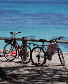 Parker Point Marine Snorkel Trail - E Caravan Parks 0