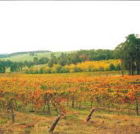 Byramgou Park - E Caravan Parks