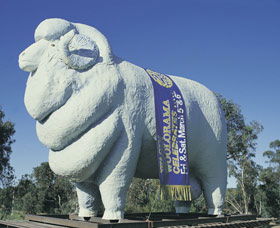 Giant Ram Tourist Park - E Caravan Parks 0