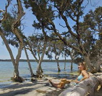 Stokes National Park - E Caravan Parks