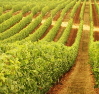 Darlington Estate Winery and Restaurant - E Caravan Parks