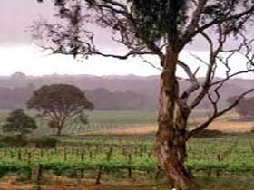 Ashbourne SA E Caravan Parks