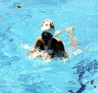 Mount Gambier Aquatic Centre - E Caravan Parks