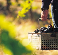 Burge Family Winemakers - E Caravan Parks