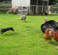 Echo Farm - E Caravan Parks