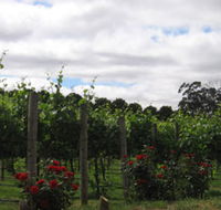 Manyara Vineyard
