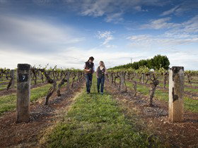Coonawarra Wineries Walking Trail - E Caravan Parks 0