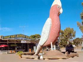 Buckleboo SA E Caravan Parks