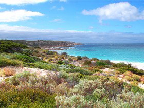 Marion Bay SA E Caravan Parks