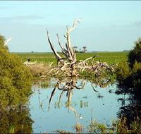 Bool Lagoon Game Reserve and Hacks Lagoon Conservation Park - E Caravan Parks
