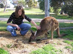 Willalooka SA E Caravan Parks