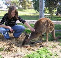 Pendleton Farmstay - E Caravan Parks