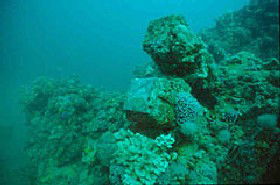 Adelaide's Underwater Heritage Trail - E Caravan Parks 0