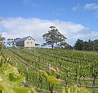Bruny Island Premium Wines Bar and Grill - E Caravan Parks