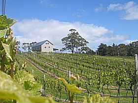 Bruny Island Premium Wines Bar And Grill - E Caravan Parks 0