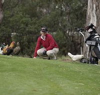 Tasmania Golf Club - The - E Caravan Parks