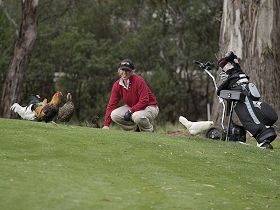 Tasmania Golf Club - The - E Caravan Parks 0