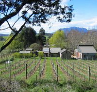 Wilmot Hills Vineyard - E Caravan Parks