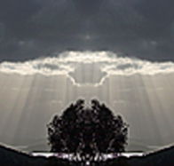 aart. Gallery of Fine Art - E Caravan Parks
