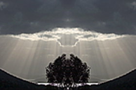 Aart. Gallery Of Fine Art - E Caravan Parks 0