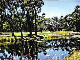Alcomie TAS E Caravan Parks