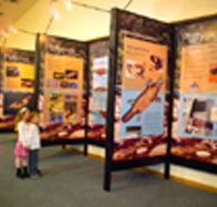 Platypus Experience - E Caravan Parks