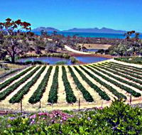 Kate's Berry Farm - E Caravan Parks