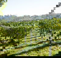 Surveyor's Hill Vineyards - E Caravan Parks