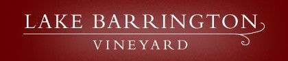 Lake Barrington Estate Vineyard - E Caravan Parks 0