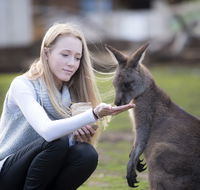 Bonorong Wildlife Sanctuary - E Caravan Parks