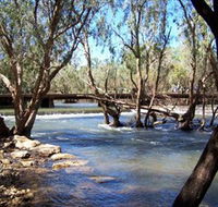 Low Level Nature Reserve - E Caravan Parks