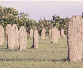 Magnetic Termite Mounds - E Caravan Parks 0
