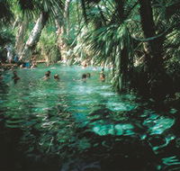 Mataranka Thermal Pool - E Caravan Parks