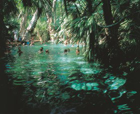 Mataranka Thermal Pool - E Caravan Parks 0