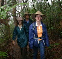 Mount Cougal Springbrook National Park - E Caravan Parks