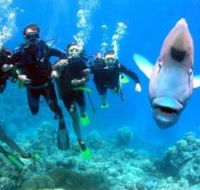 Magic Mountain Dive Site - E Caravan Parks