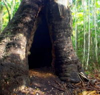 Tewantin National Park - E Caravan Parks