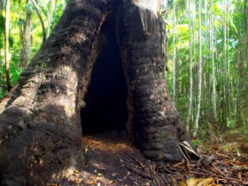 Tewantin National Park - E Caravan Parks 0