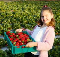 Strawberry Fields - E Caravan Parks