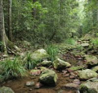 Amamoor State Forest - E Caravan Parks