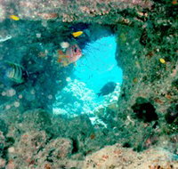 Michaelmas Cay Dive Site - E Caravan Parks
